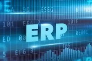 企业ERP系统分析及验收 测试指南